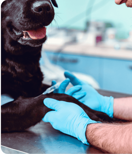 NS Case Studies - Info Picture - Amatheon-1