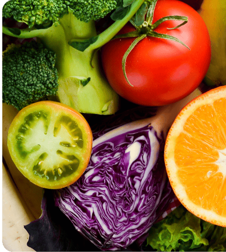 NS Case Studies - Info Picture - Green Rabbit