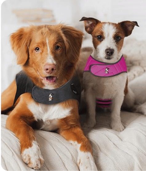 NS Case Studies - Info Picture - Thunderworks