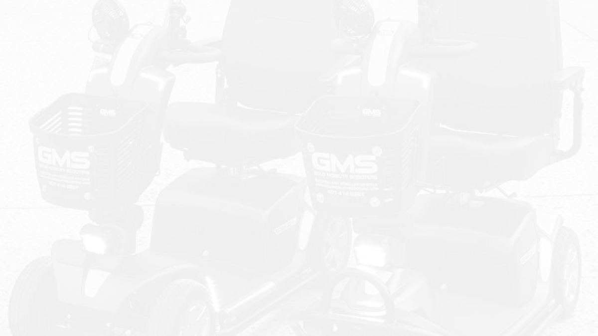 Pride Mobility Light Background
